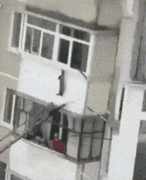 65.gif