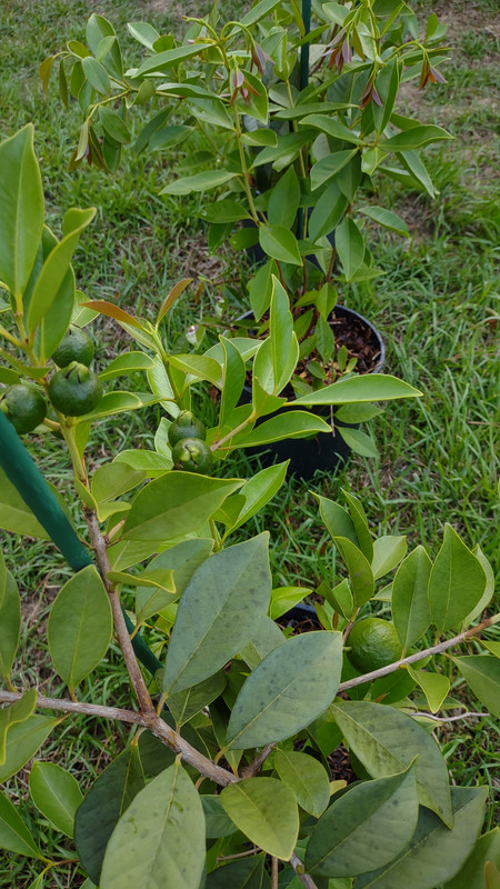 IMG_20240729_194147643