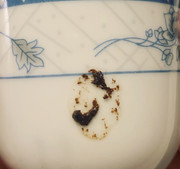 A1AF9F9B-8241-4D22-9EA0-09F80221E964