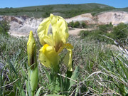 news_5987_607703963kariera