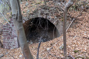 IMG-2231