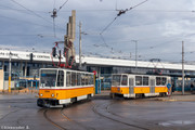IMG-4493