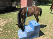 687-D7-E82-4-ED1-4162-887-C-042-CC406-BD4-B