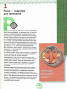 Kukly-2001-146