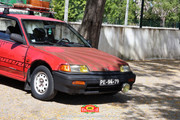 IMG-6803