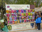 IMG20261017125548