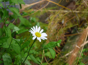 photo 13 2025 12 27 21 06 10