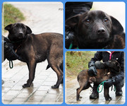 Be-Funky-collage-18.jpg&key=8f3bc0cd5260