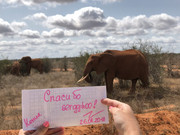 8C8F37D6-34D9-4B08-9577-8642AD191F1D