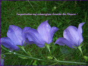 Konzentration auf schmerzfreie Bereiche