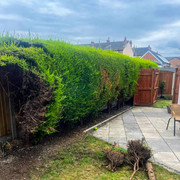 After: finished garden