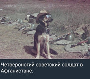 https://i.postimg.cc/XBW05fDD/photo-2026-09-05-12-53-34.jpg