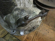 IMG-6542.jpg