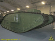 IMG-6821