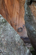 IMG-0246
