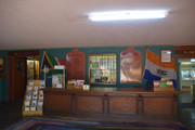 DSC-0219