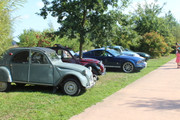 IMG-9273.jpg