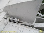 IMG-7635