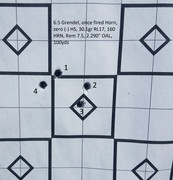 [Image: 160gr-Horn-RN-accuracy-1.jpg]