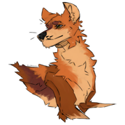 2025_01_09_0mj_Kleki