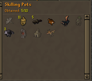 pets.png