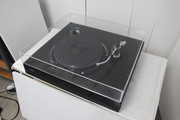 IMG-0005