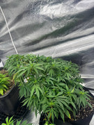 photo 2026 02 12 00 48 23