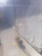 20260427-164628