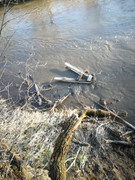 IMG-20200503-195620