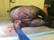 8B3248EF-AB29-4E17-97C9-1A37A4DA431D