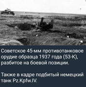 https://i.postimg.cc/XGG3hdRj/photo-2026-07-03-10-25-36.jpg
