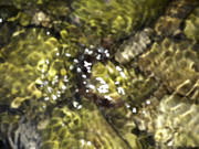 Abstract-A-Shapes-Assembled-Colorful-Art-Publicdomain-(5)