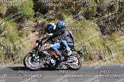 IMG-1381