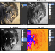 [Image: 5-Chien-avant.jpg]