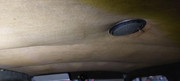 IMG-20240603-WA0072.jpg