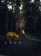 Untitled99_20231210192503