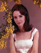 susan-strasberg-b19