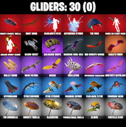 gliders-comp