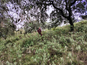 IMG-20260124-123105747-HDR