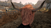 The-Elder-Scrolls-V-Skyrim-Special-Editi