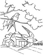 dvie-lastochki-nad-domom