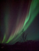 PXL_20221120_181833322.NIGHT