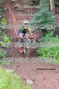 IMG-0461