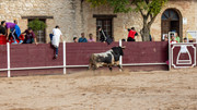 IMG-0075