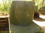 DSCN0084