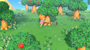 NSwitch-Animal-Crossing-New-Horizons-05.