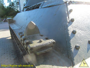 IMG-5434