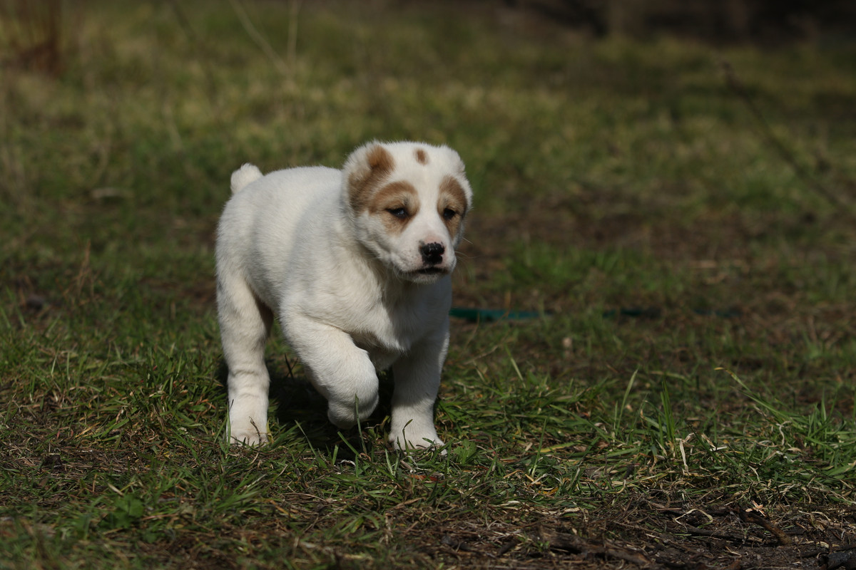 02640D49-E1ED-43AC-BE34-85B04BB7FA34