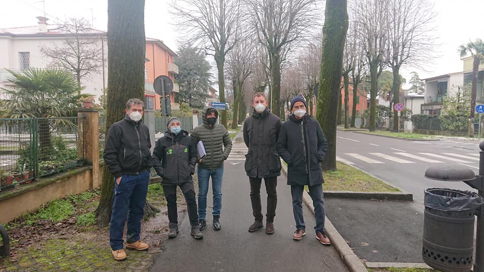 10gennaio-viale-piante.jpg
