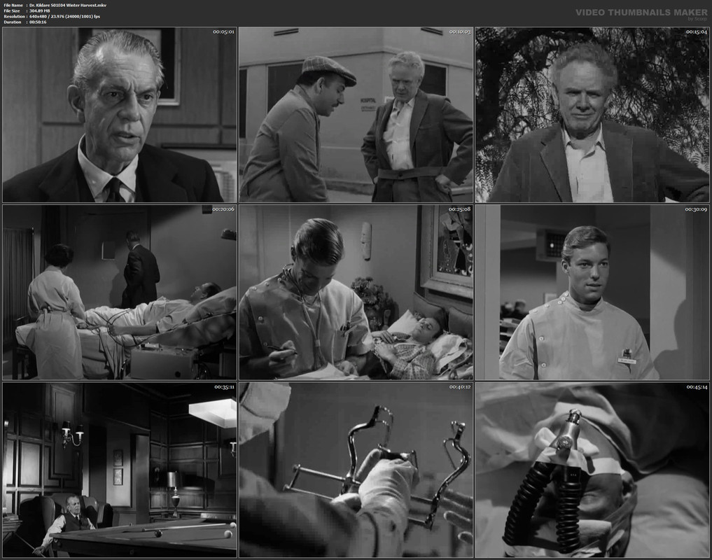 Dr. Kildare S01E04 Winter Harvest.mkv